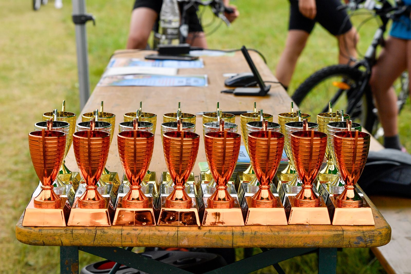 Row of bronze trophy cups lined up on a table outdoors